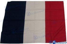 TD4 GS73408 - BANDERA FRANCIA  70X100