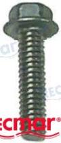 TD4 REC324334 - TORNILLO