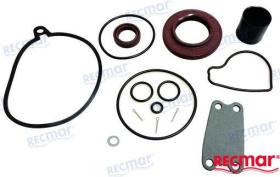 TD4 REC3850594 - KIT REPARACION COLA SX COBRA