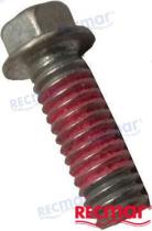 TD4 REC3852454 - TORNILLO VOLVO