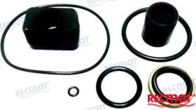 TD4 REC3855275 - KIT REPARACION COLA SX COBRA