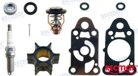 TD4 RECKITMER2.5 - KIT MANTENIMIENTO MERCURY