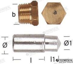 TD4 TEN02351T - ANODO LOMBARDINI ZINC C/TAPON