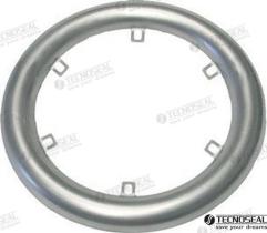 TD4 TEN02458 - ANODO KAMEWA COLLAR ZINC 7,3KG